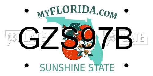 GZS97B Florida License Plate