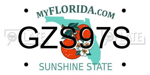 GZS97S Florida License Plate