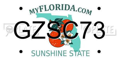 GZSC73 Florida License Plate