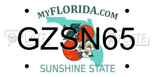 GZSN65 Florida License Plate
