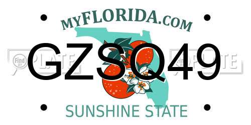GZSQ49 Florida License Plate