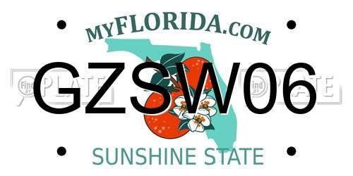 GZSW06 Florida License Plate