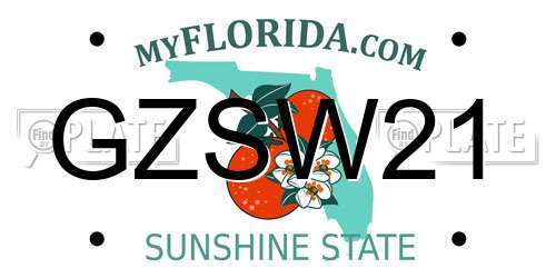 GZSW21 Florida License Plate