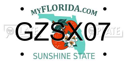 GZSX07 Florida License Plate