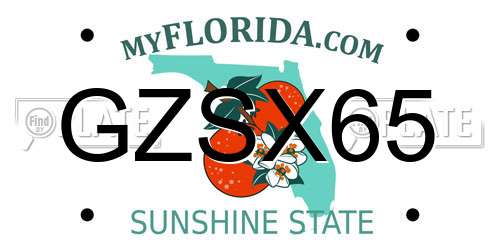 GZSX65 Florida License Plate