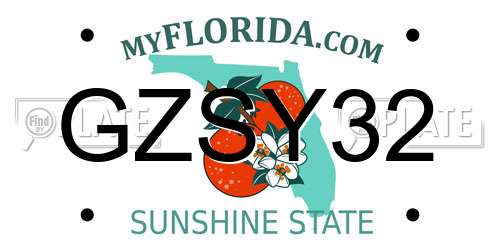 GZSY32 Florida License Plate