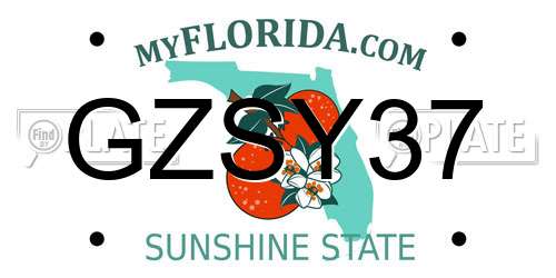 GZSY37 Florida License Plate