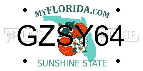 GZSY64 Florida License Plate