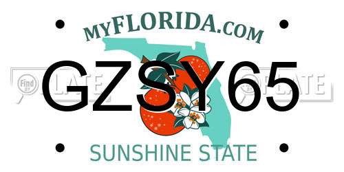 GZSY65 Florida License Plate