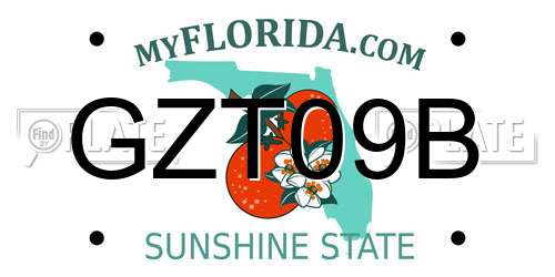GZT09B Florida License Plate