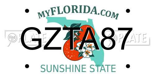 GZTA87 Florida License Plate