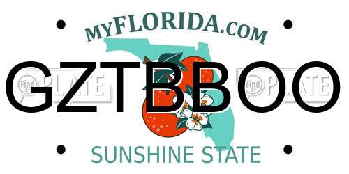 GZTBBOO Florida License Plate