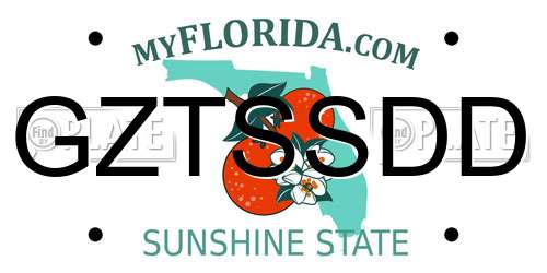 GZTSSDD Florida License Plate