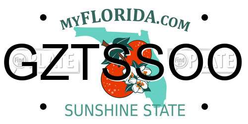 GZTSSOO Florida License Plate