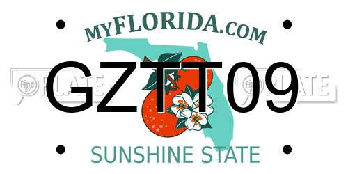 GZTT09 Florida License Plate