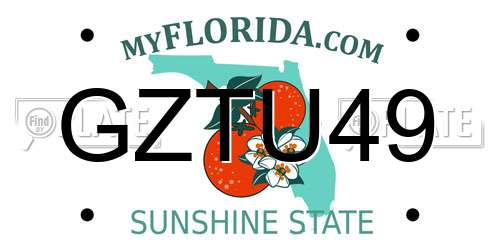 GZTU49 Florida License Plate