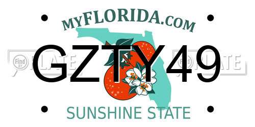 GZTY49 Florida License Plate