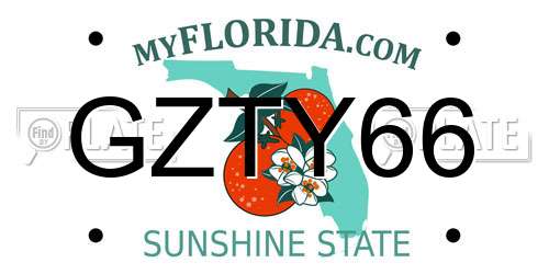 GZTY66 Florida License Plate