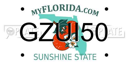 GZUI50 Florida License Plate