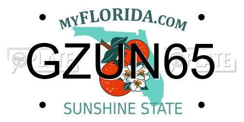 GZUN65 Florida License Plate