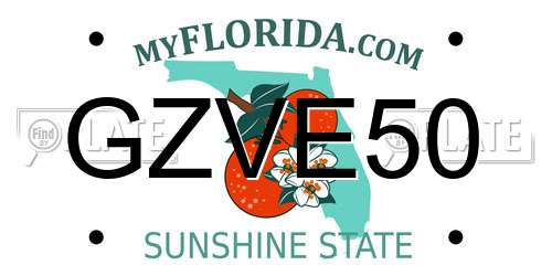 GZVE50 Florida License Plate