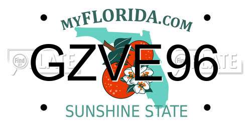 GZVE96 Florida License Plate