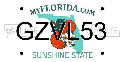 GZVL53 Florida License Plate