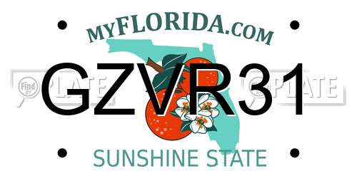 GZVR31 Florida License Plate