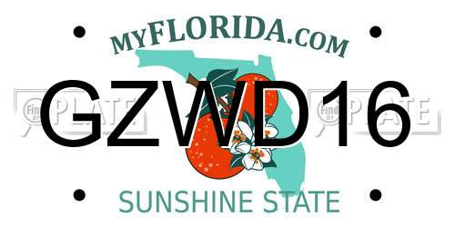 GZWD16 Florida License Plate