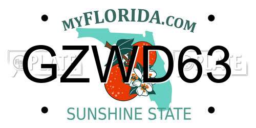 GZWD63 Florida License Plate