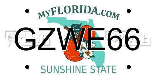 GZWE66 Florida License Plate