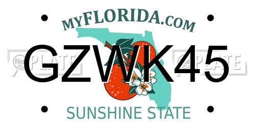 GZWK45 Florida License Plate