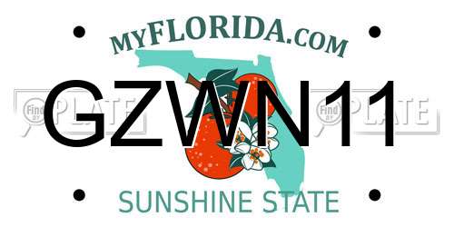 GZWN11 Florida License Plate