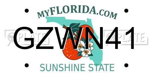 GZWN41 Florida License Plate