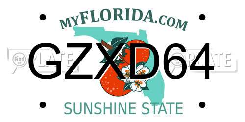 GZXD64 Florida License Plate