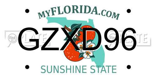 GZXD96 Florida License Plate