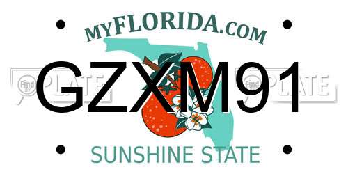 GZXM91 Florida License Plate