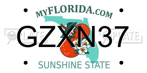 GZXN37 Florida License Plate