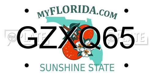 GZXQ65 Florida License Plate
