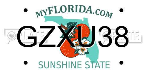 GZXU38 Florida License Plate