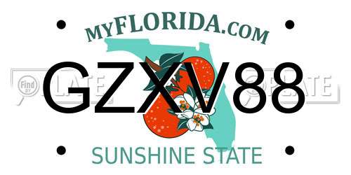 GZXV88 Florida License Plate