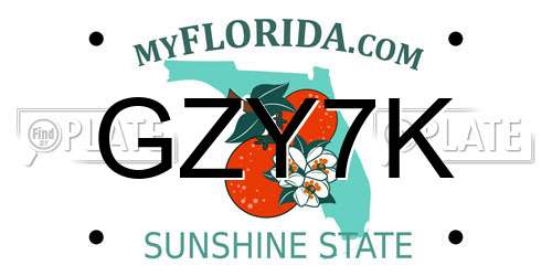 GZY7K Florida License Plate
