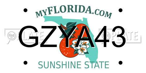 GZYA43 Florida License Plate