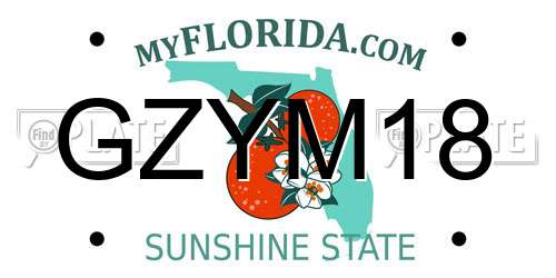 GZYM18 Florida License Plate
