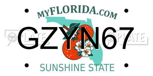 GZYN67 Florida License Plate