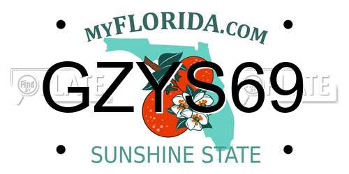 GZYS69 Florida License Plate
