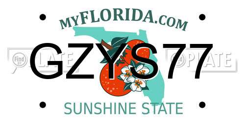 GZYS77 Florida License Plate