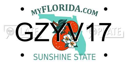 GZYV17 Florida License Plate