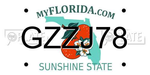 GZZJ78 Florida License Plate