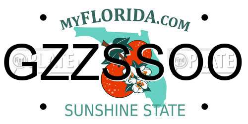 GZZSSOO Florida License Plate
